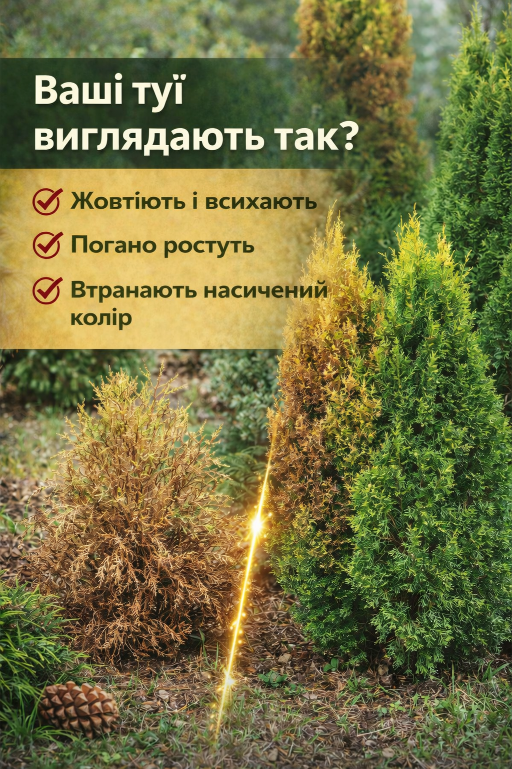 До застосування